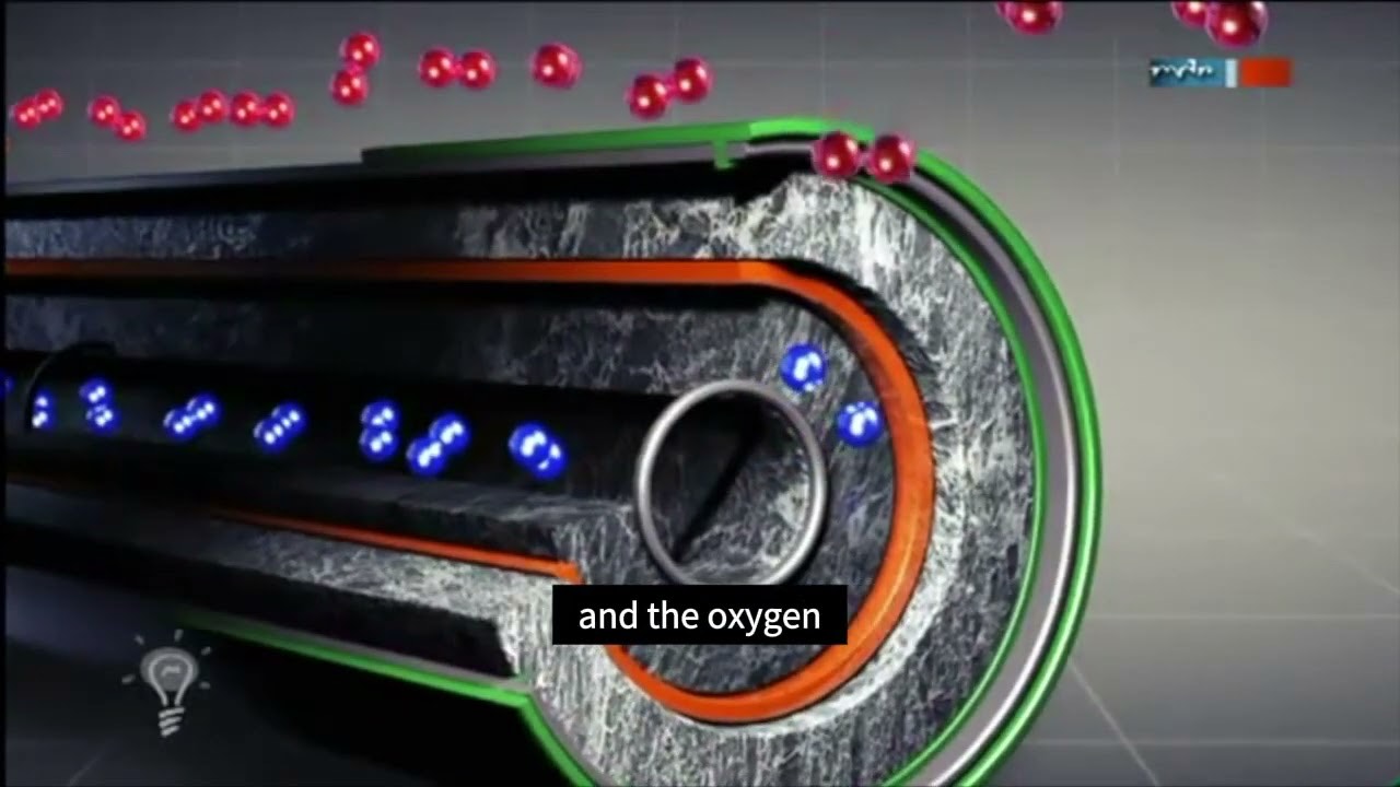 INSIDE THE CELL — HOW IT WORKS